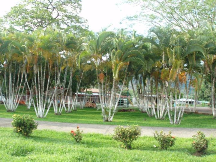 Hoja Azul Villa Hojancha Buitenkant foto